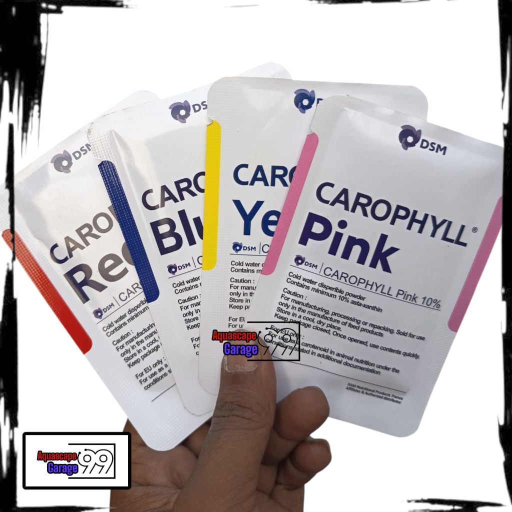 Pigmen mutasi warna blue yellow pink red /pigmen mutasi / mutasi warna ikan / racik pelet