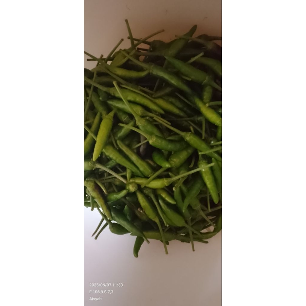 

cabe rawit hijau/cengek caplak harga untuk 1 kg cabe