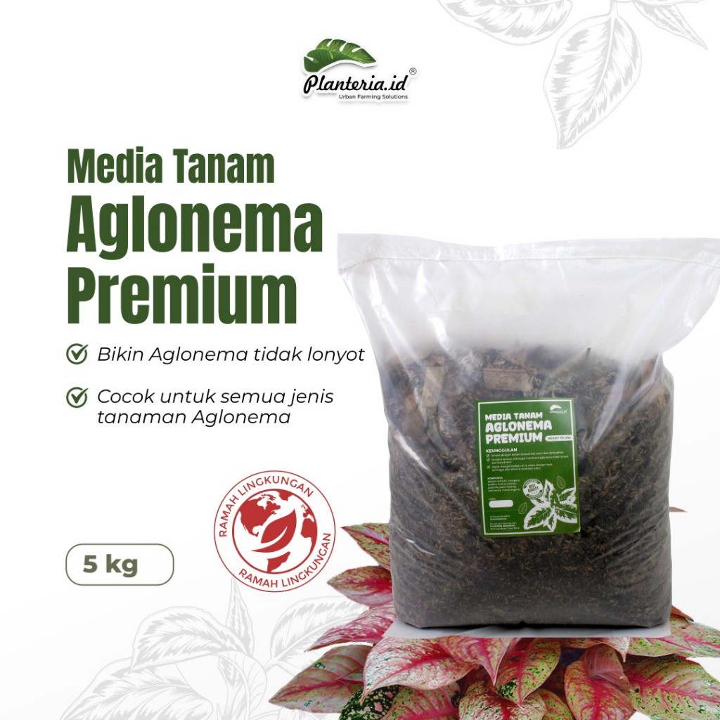 Media tanam aglonema premium 5 kg