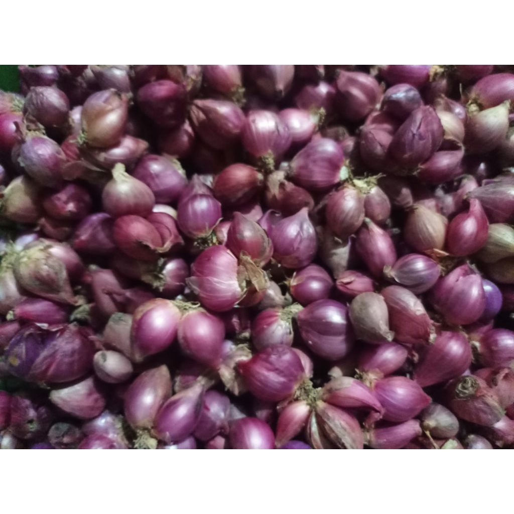 

Bawang Merah kecil per kilo