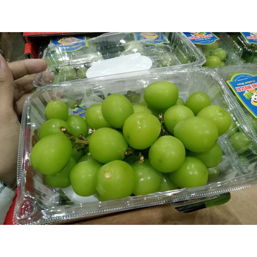 

BUAH ANGGUR MUSCAT 500GR