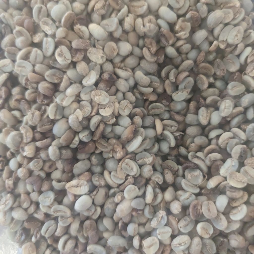 

Robusta Simalungun 1kg Grade 1