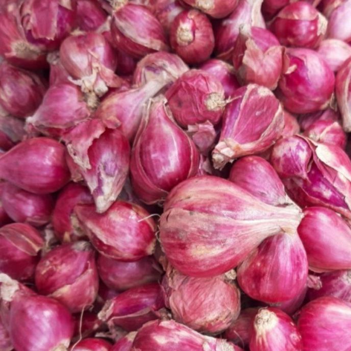 

SUPER Bawang Merah Brebes 1kg / Bawang Merah Brebes 1kg