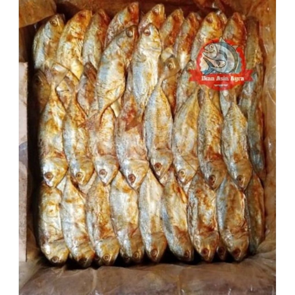 

Menjual ikan asin peda merah kualitas super berat 250gram