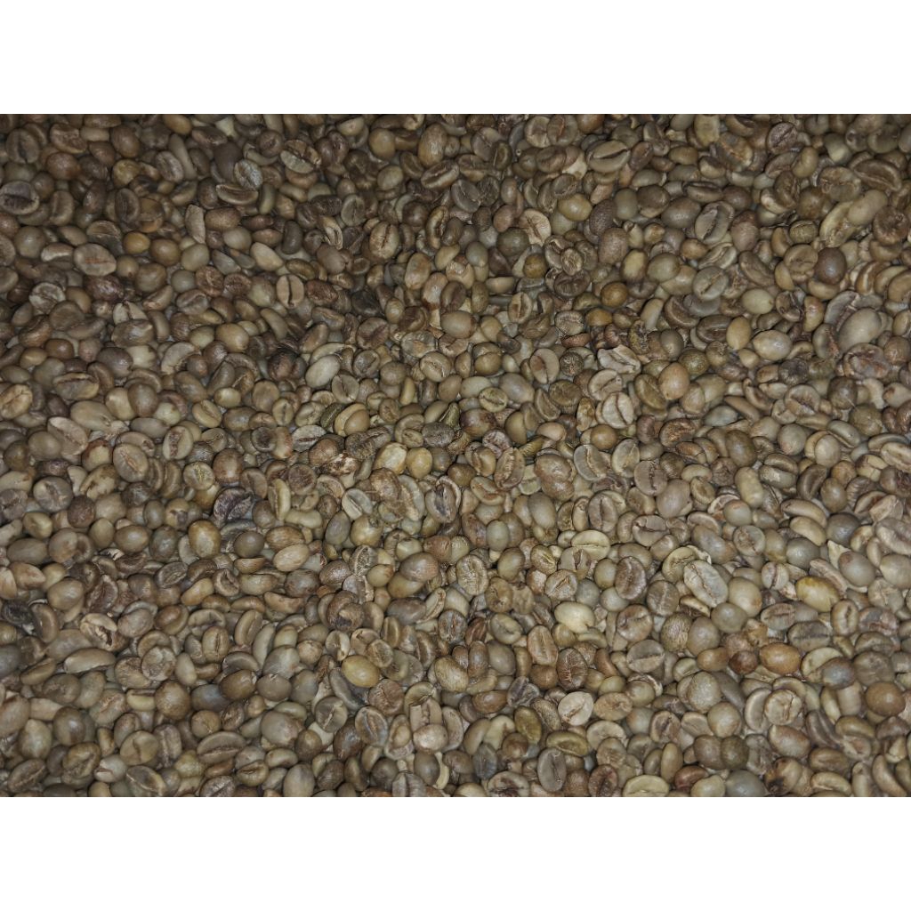 

Greenbean Robusta Grade 1 - Pangandaran