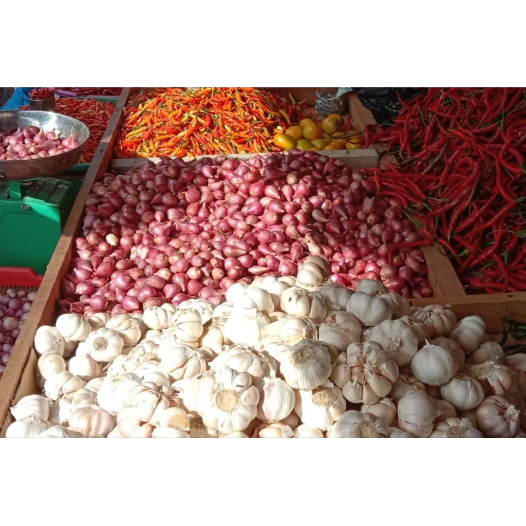 

paket bawang putih 5kg