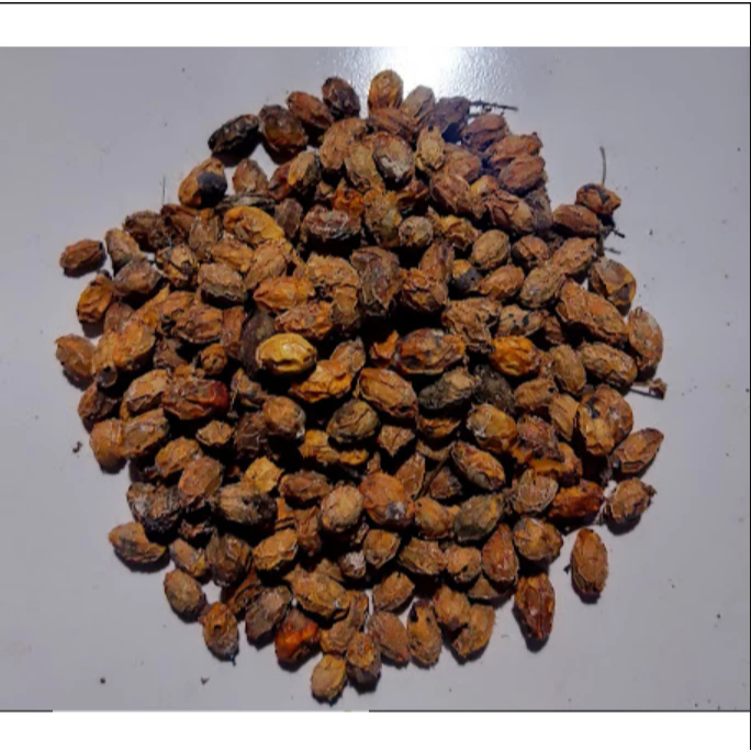 

500 gram Buah Mimba Kering / 250 gram Biji Mindi Kering Alami