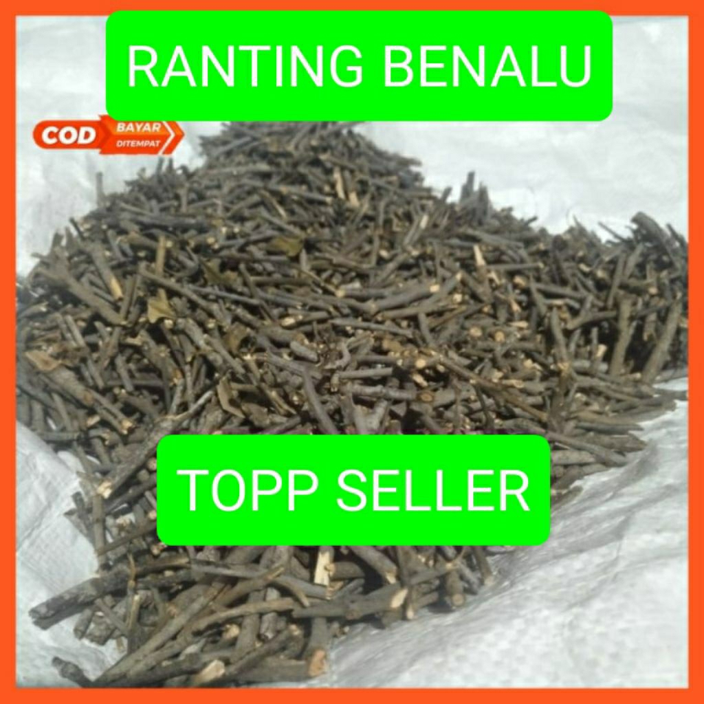

Ranting/batang benalu teh grade A+ 1 kg/1000 gram