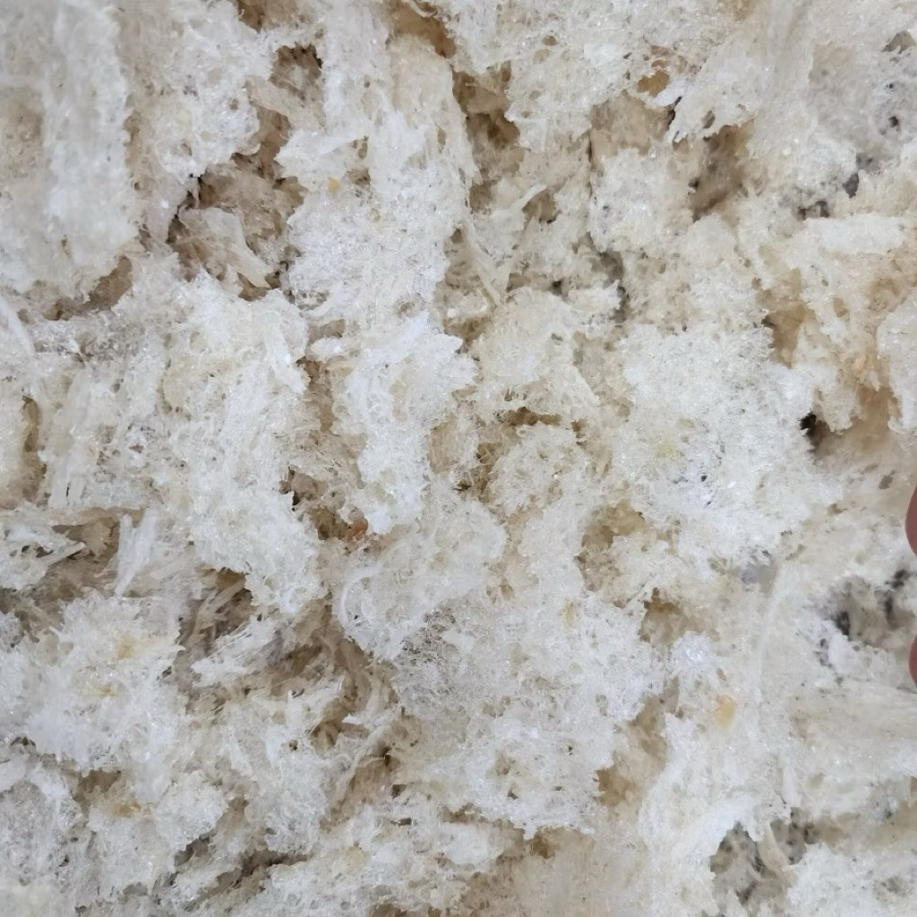 

Termurah Sarang Walet Asli Dari Kalimantan