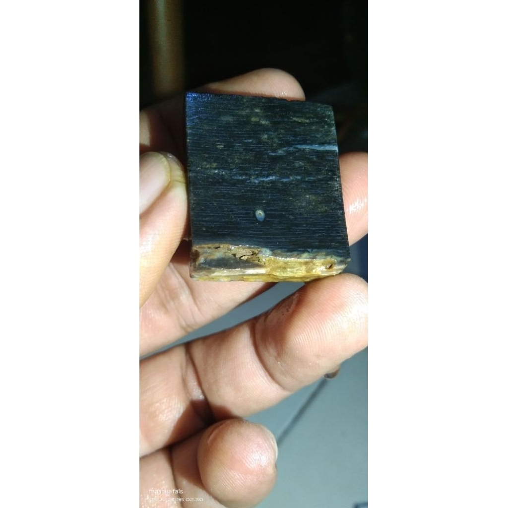 Batu fosil galih kelor serat emas