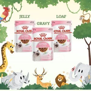 ROYAL CANIN Kitten WET Food 85gr ~ Makanan Kucing Royal Canin Kitten/Makanan Basah