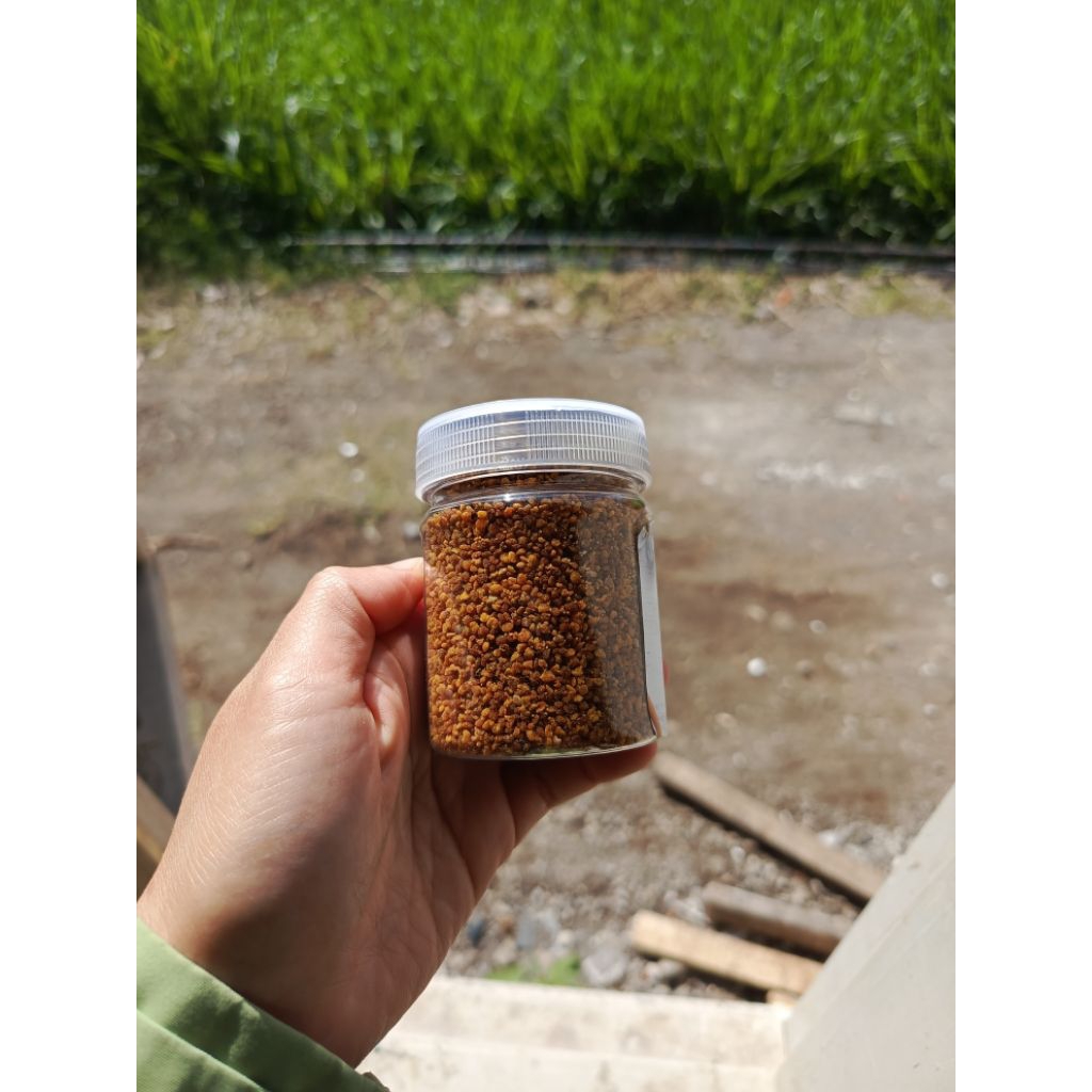 

bee pollen 100 gram murni