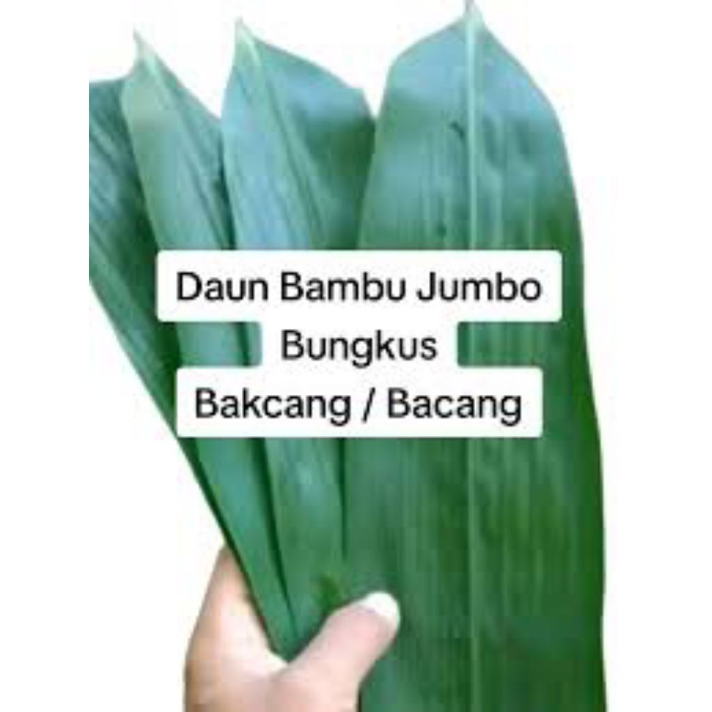 

Daun bambu bakcang bacang fresh per 50 lambar ukuran 7-9