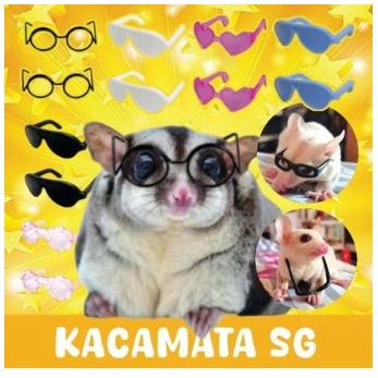 KACAMATA SUGAR GLIDER - Fashion Hamster Sugar Glider Hamster Kacamata Baju Topi MURAH