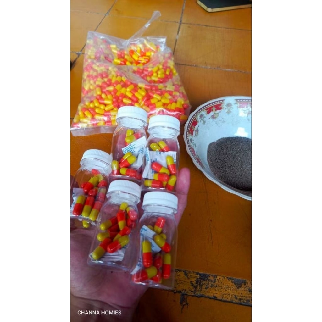 KAPSUL BUNGA CHANNA MARU