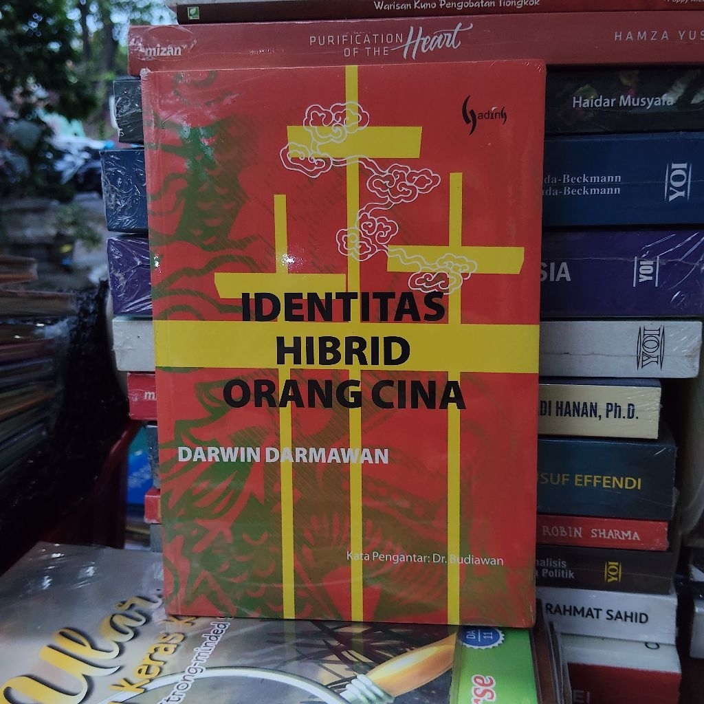 Buku Original • Identitas Hibrid Orang Cina / DARWIN DARMAWAN