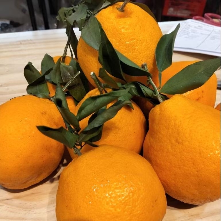 

Jeruk Dekopon Papagan 1kg - jeruk dekopon manis segar