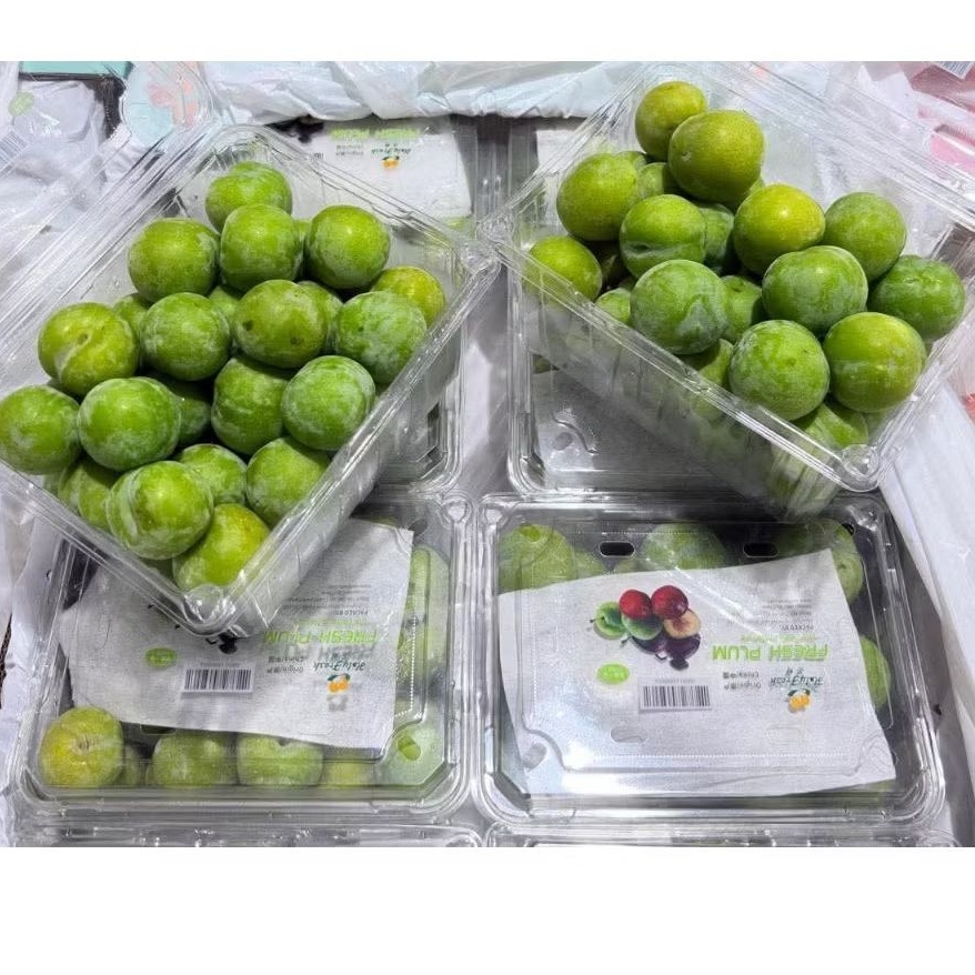 

BUAH PLUM HIJAU PACK 800gr