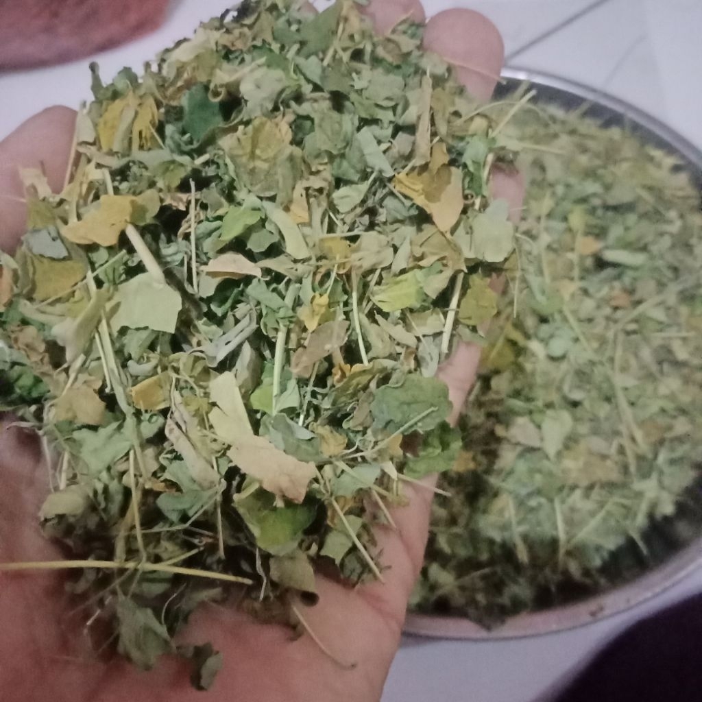

DAUN KELOR KERING BERKHASIAT #Daun kelor #Daun herbal