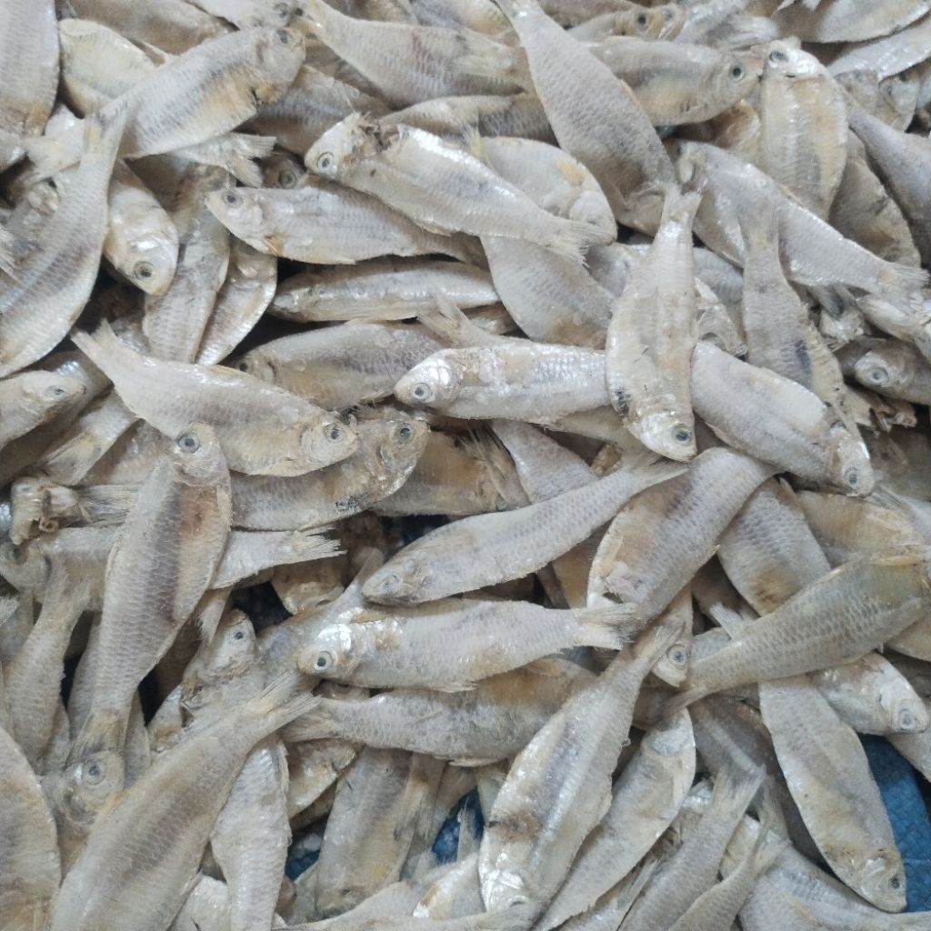 

Termurah..!! Ikan Asin kalapan 1 kg