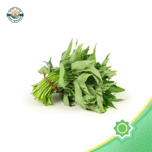 

Kangkung Pilihan (1 Ikat) | NutriSayur | Renyah & Siap Tumis!