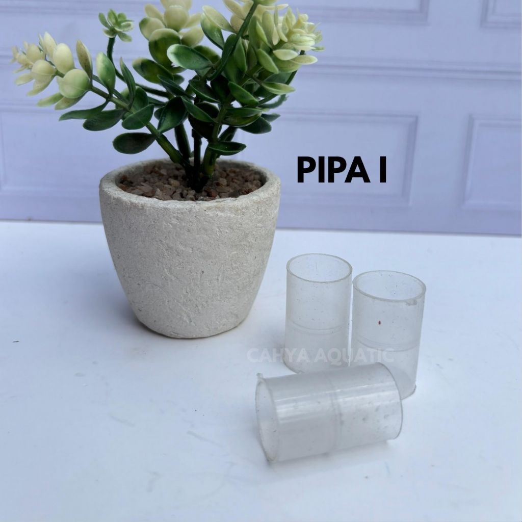 perlengkapan aquarium