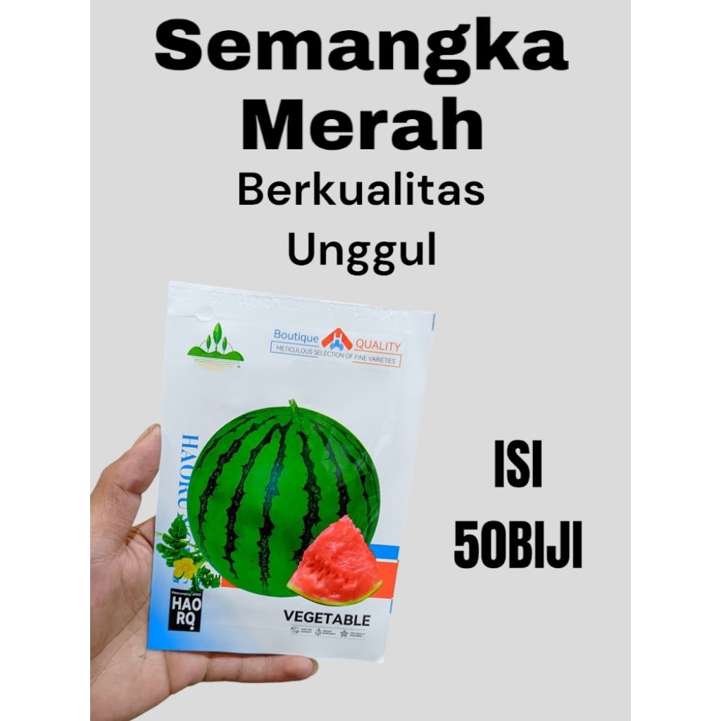 

jenis mangga merah bulat kualitas premium kemasan ori pabrik mudah tumbuh