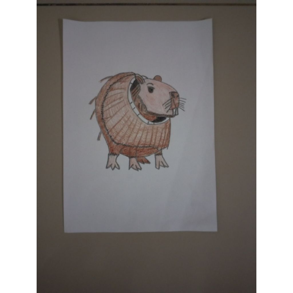 

Gambar Anomali Burbaloni Luliloli