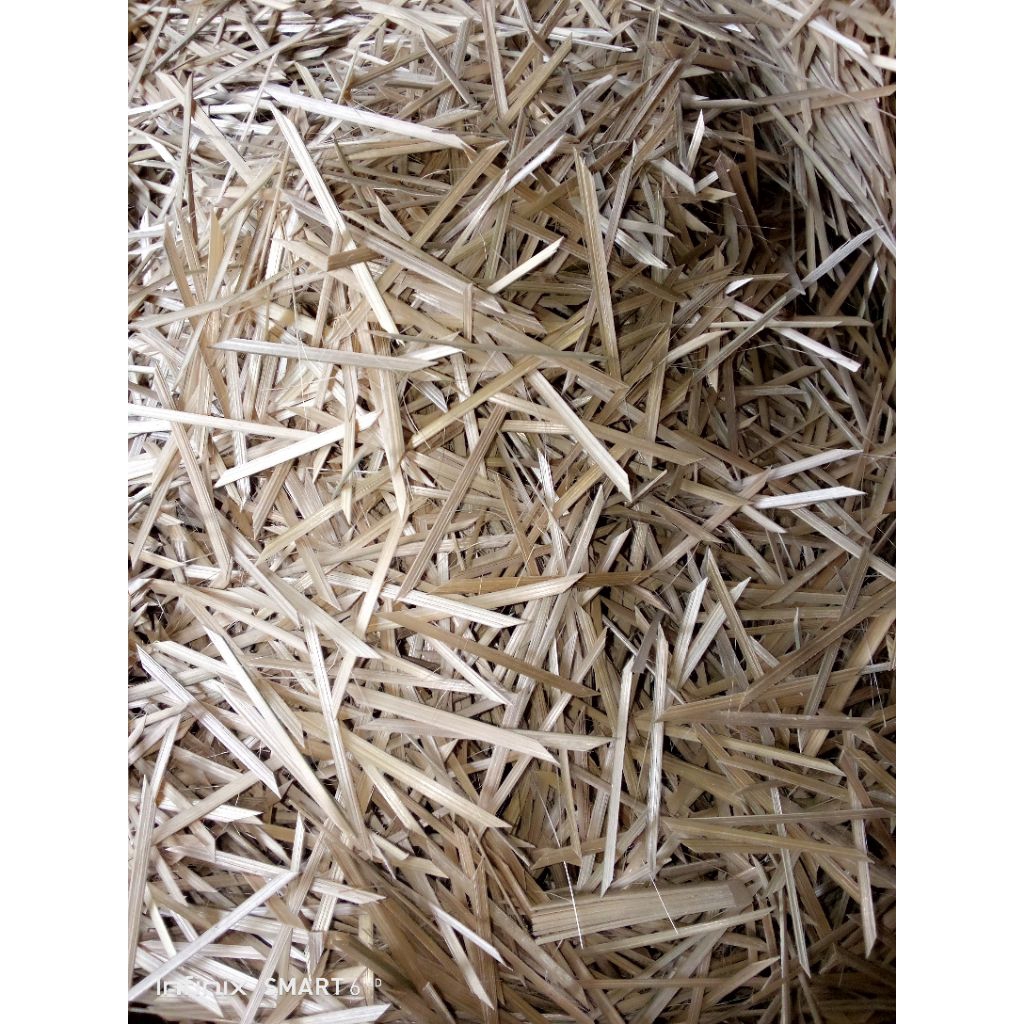 BITING PENYEMAT LONTONG/LEMPER  DARI BAMBU [100gr]