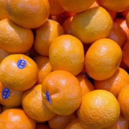 

JERUK WOKAM MANDARIN ( MANIS ASEM SEGER 1Kg )