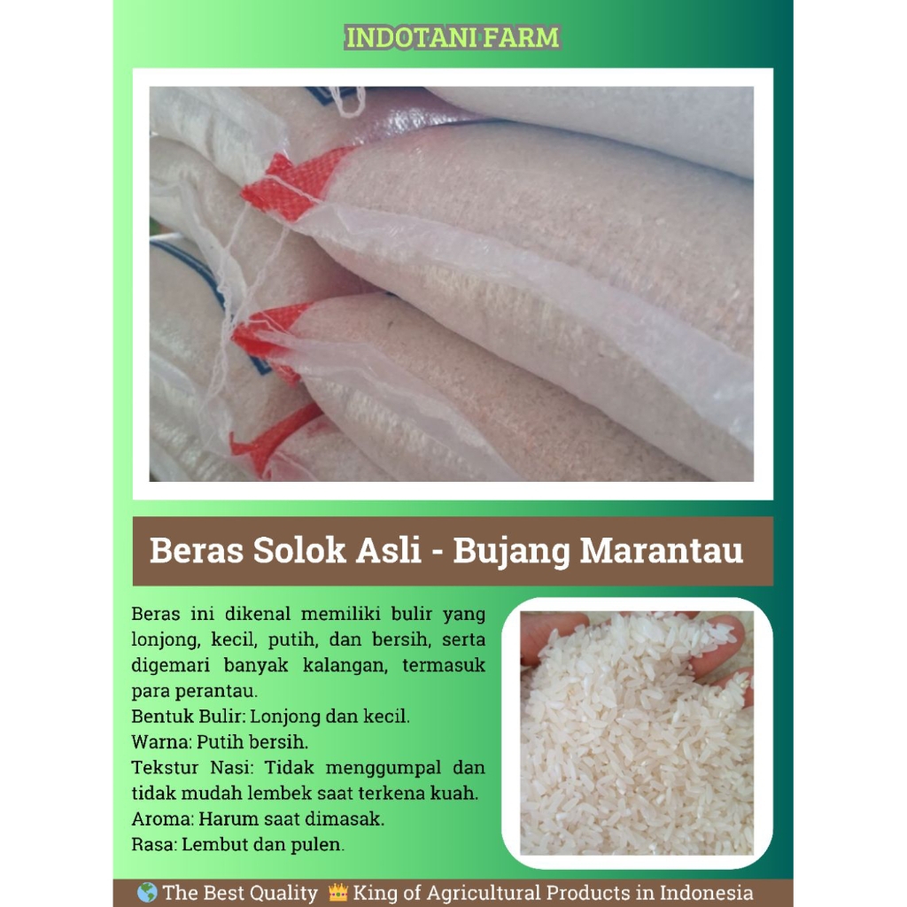 

INDOTANI_ Beras Solok Asli Bujang Marantau Karung 10 Kg (Kualitas Terbaik)