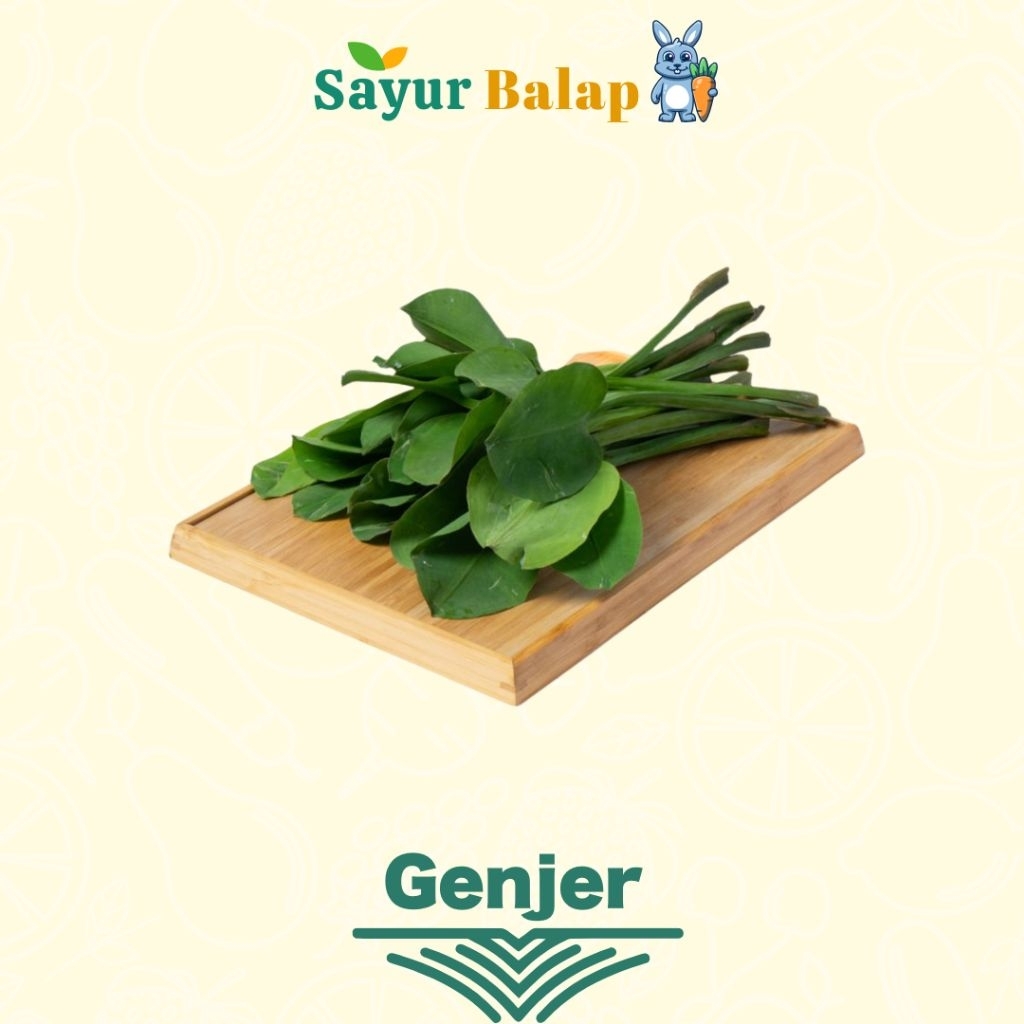 

Sayur Genjer - Segar - Sayur Balap Lampung