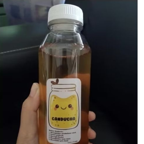 

Canducha Teh Kombucha 500ml