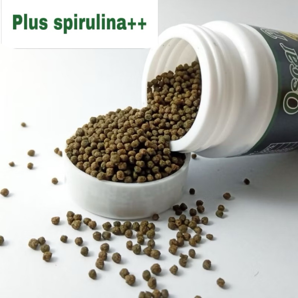 Megumiyee_ Pelet Pakan Ikan Oscar Makanan Ikan Oscar Pro