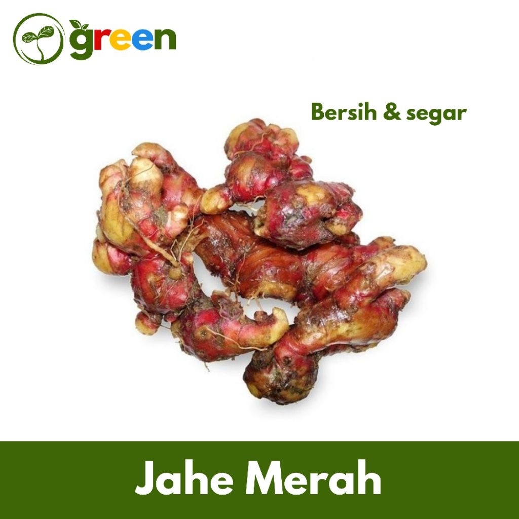 

Jahe Merah
