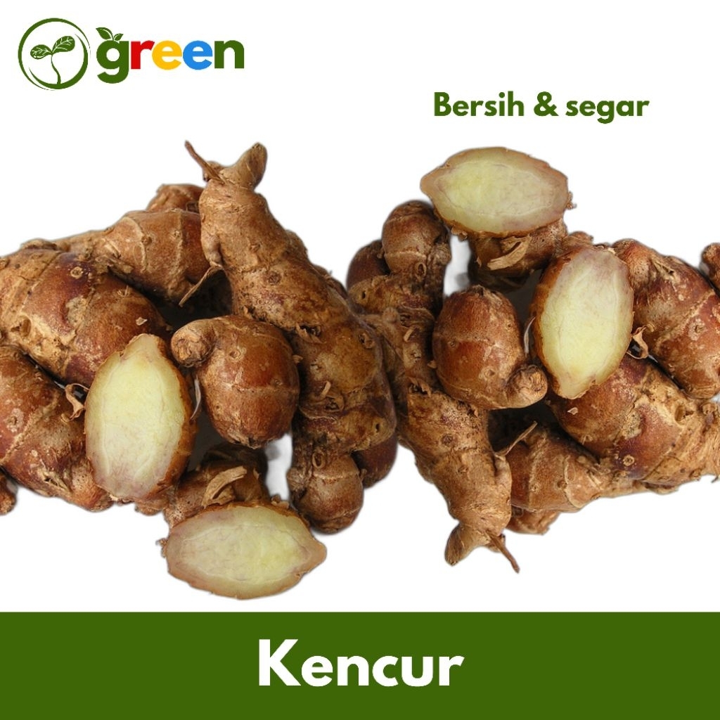 

Kencur Bumbu Masakan / Seblak