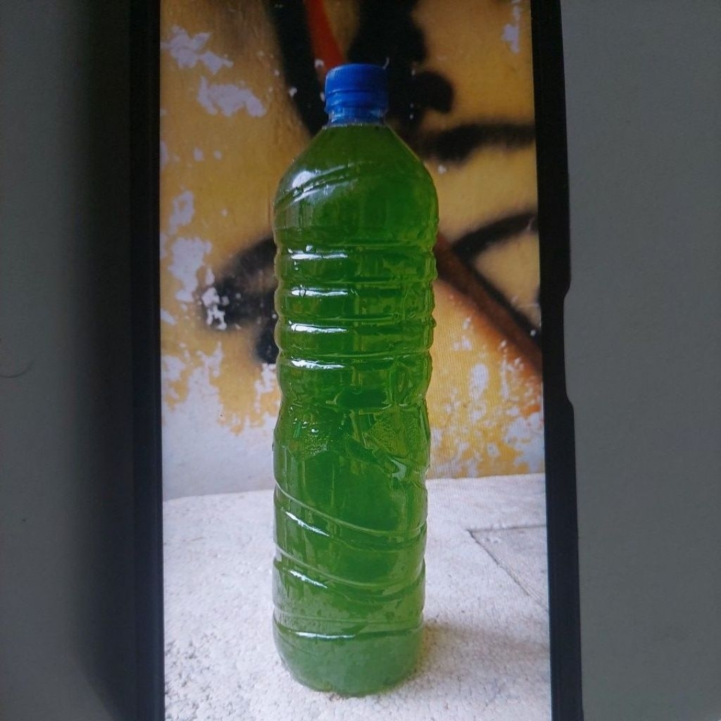 

Air hijau chlorella pakan kutu air 1500ML