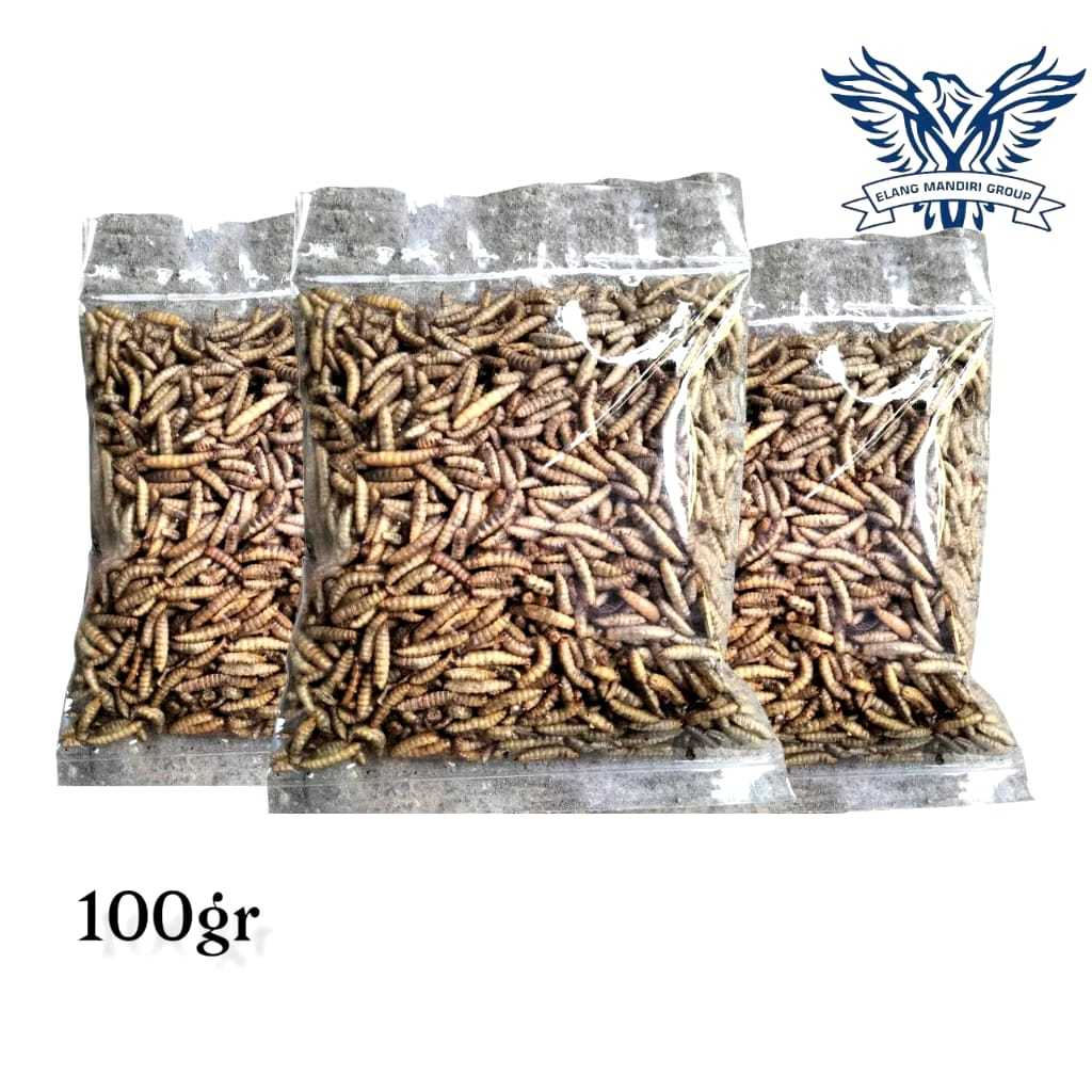 Magot bsf 100gr manggot kering pakan ikan