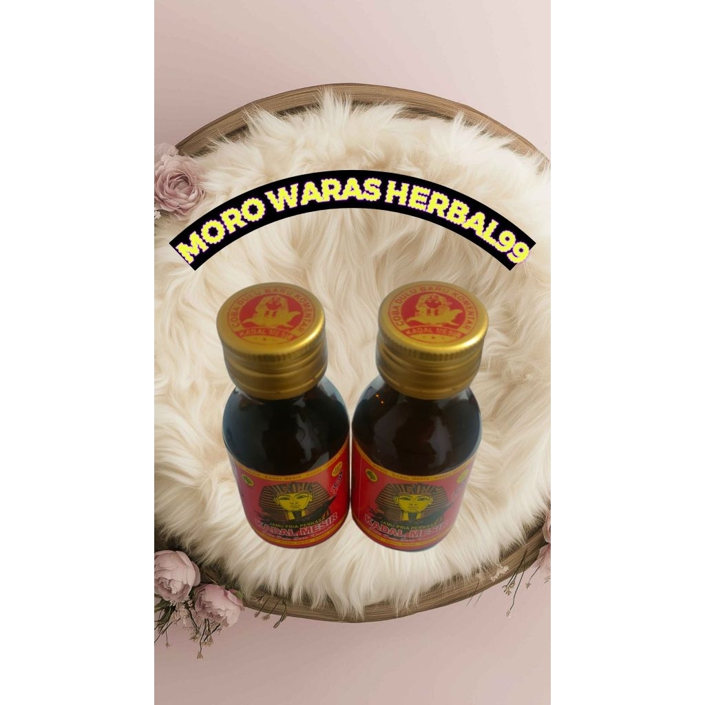 

jamu kadal mesir kecil original