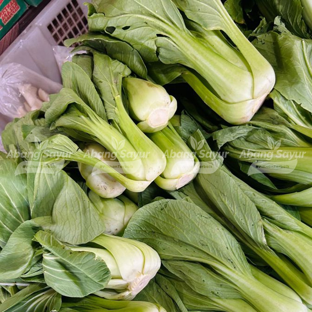 

Pakcoy Hijau Segar 500gr – Kirim Instant Bandung (Fresh Harian)