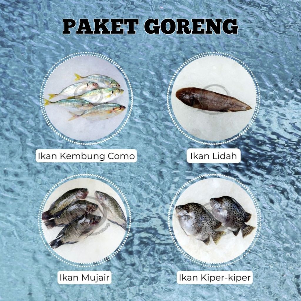 

Paket Ikan Goreng Oseng