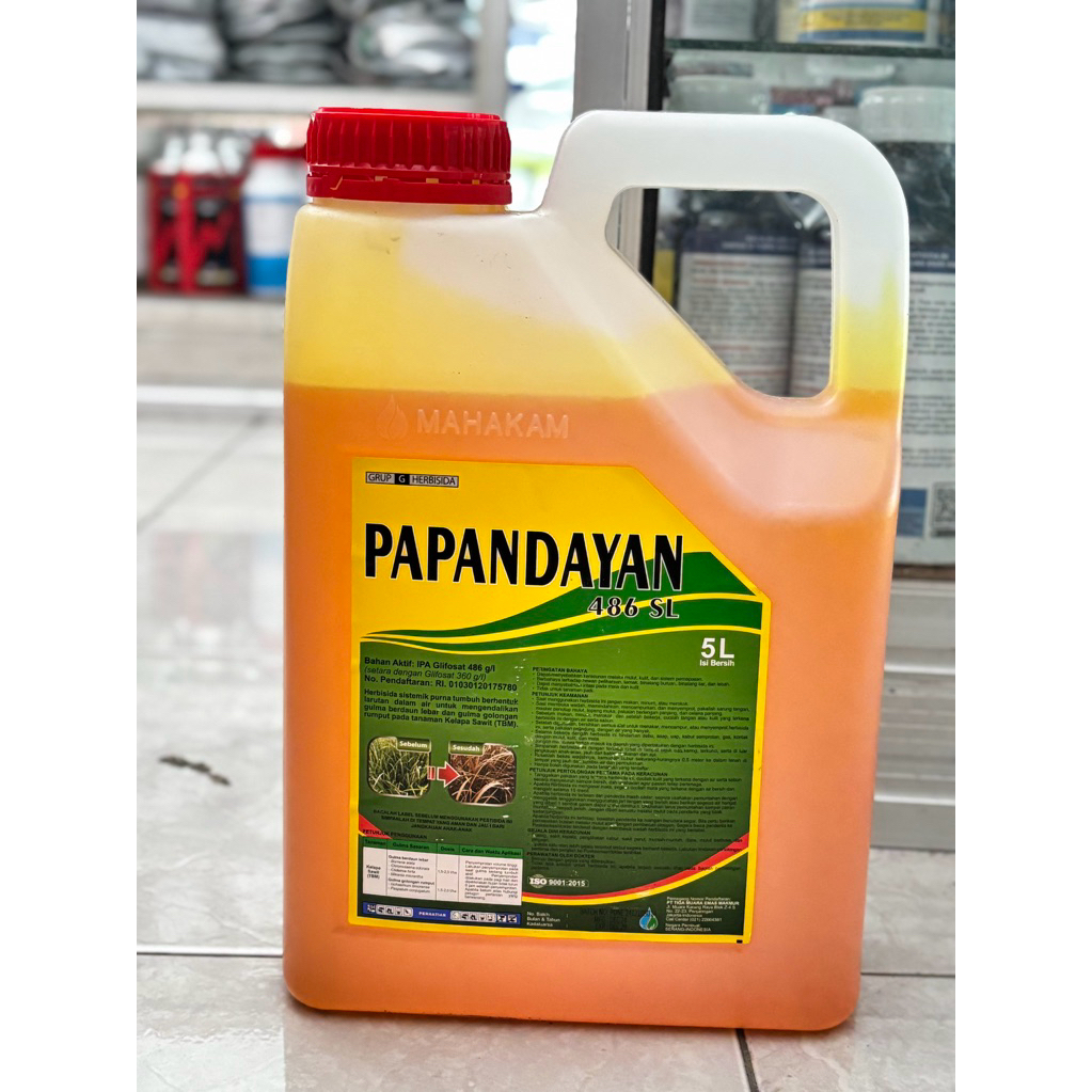 Papandayan 486 SL