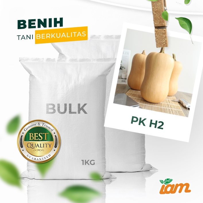 

BULK 1kg – labu madu F1 (PK H2)