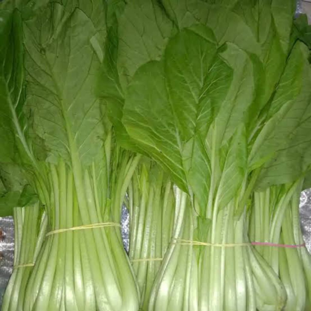

Sawi /caisim manis 250 gr