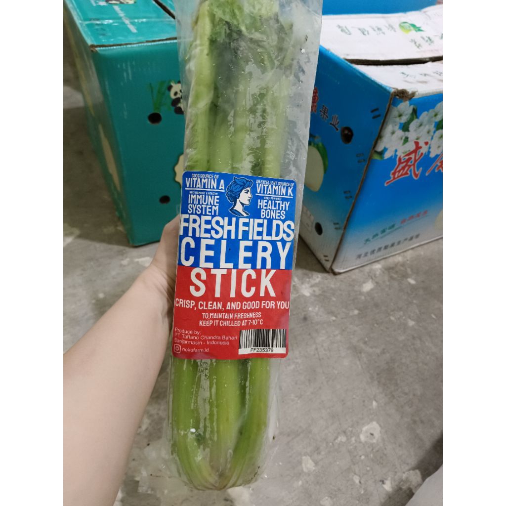 

Celery untuk jus