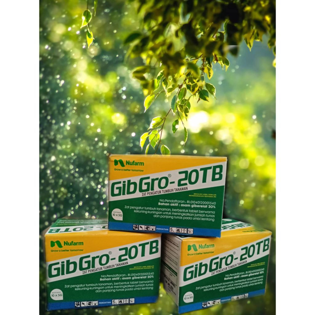 GibGro-20TB