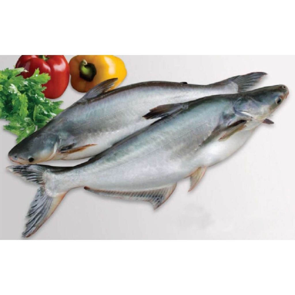 

Segar Patin Tambak per 1 kg per ekor