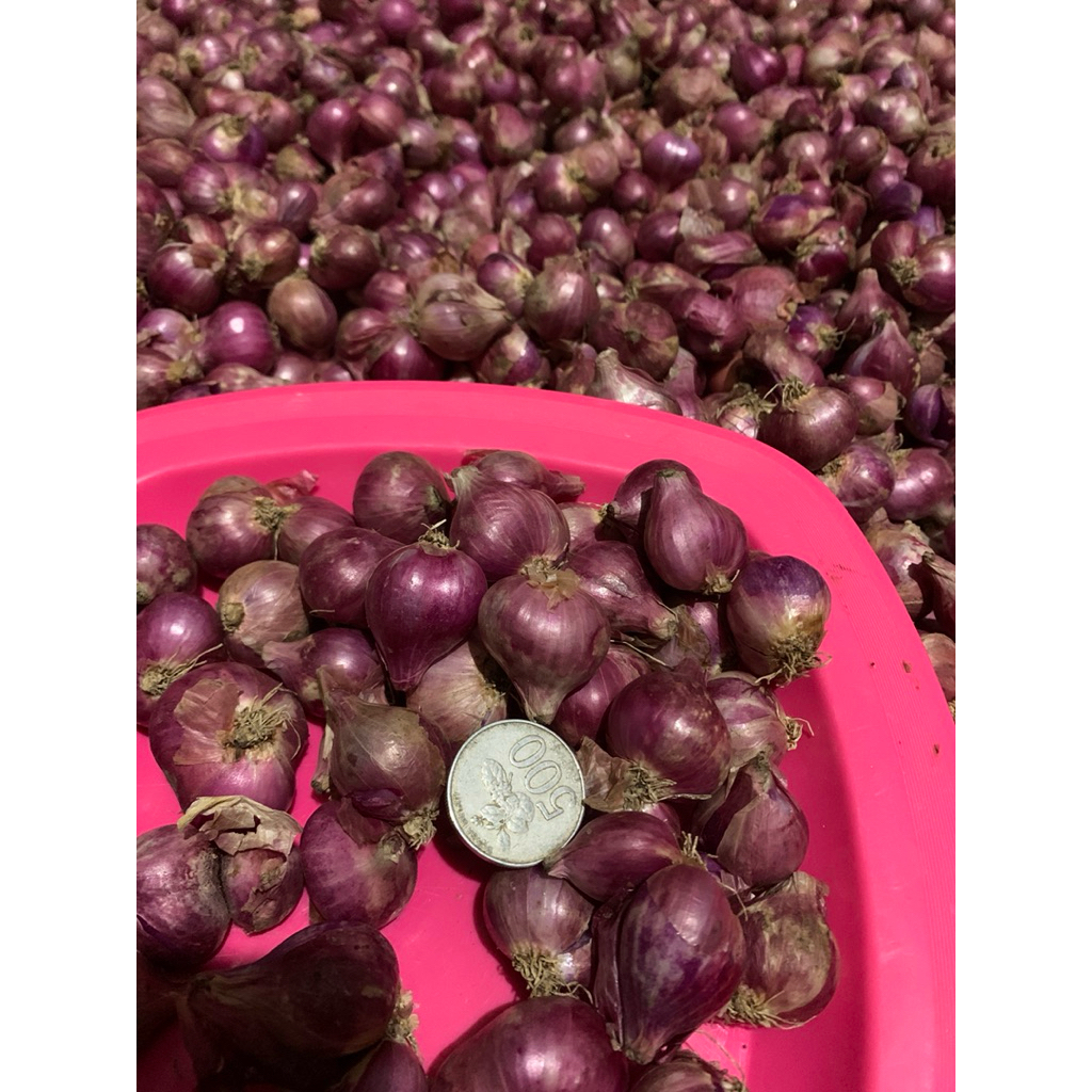 

Bawang Merah Berkualitas Besar Lokal 1000gr