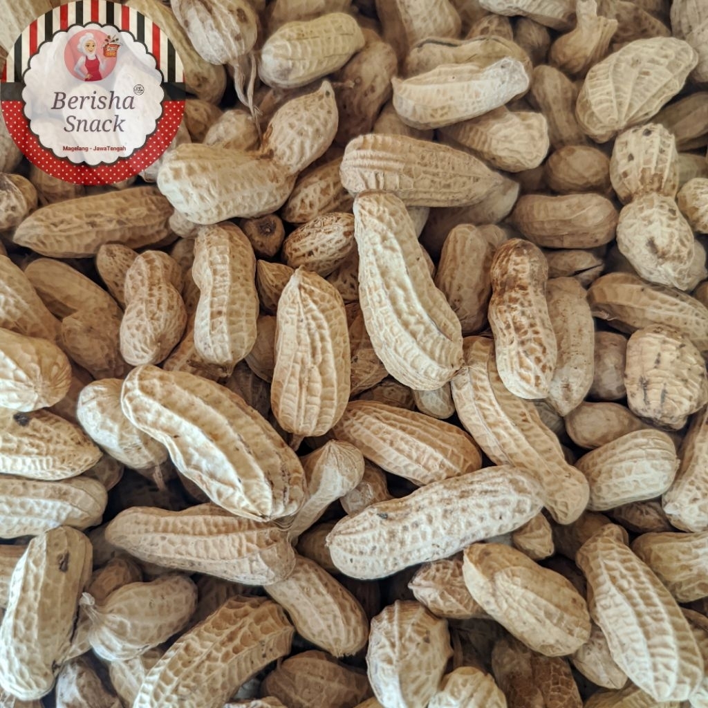 

KACANG KULIT OVEN [250 GRAM]