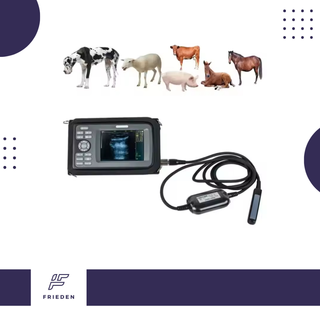 DM Cheap Clinic Handheld Veterinary Ultrasound Machine Portable Vet Ultrasound for Animal Ultrasound